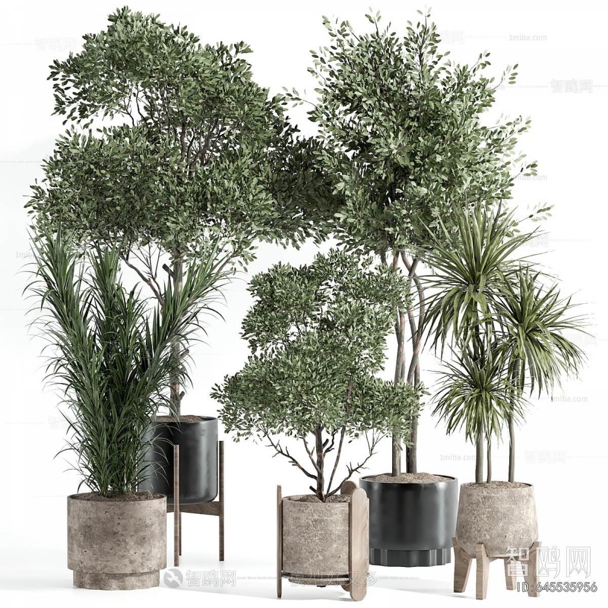 Modern Ground Green Plant Potted Plants