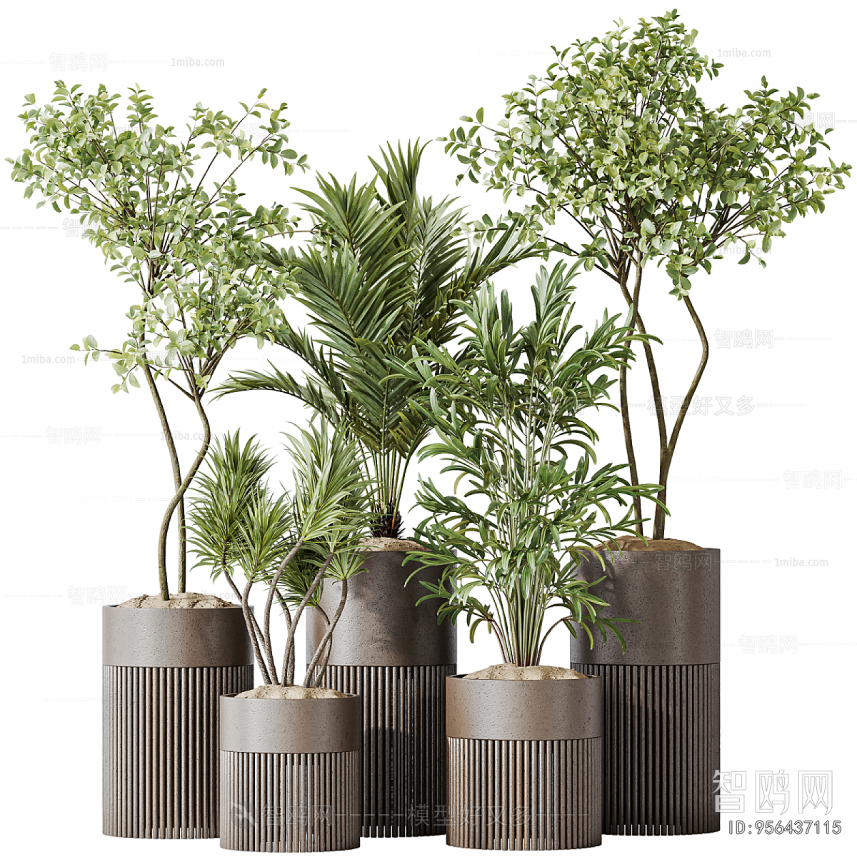 Modern Ground Green Plant Potted Plants