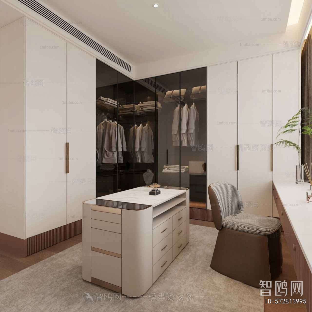 Modern Clothes Storage Area
