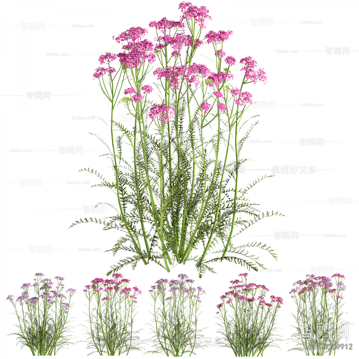 Modern Flowers And Grass