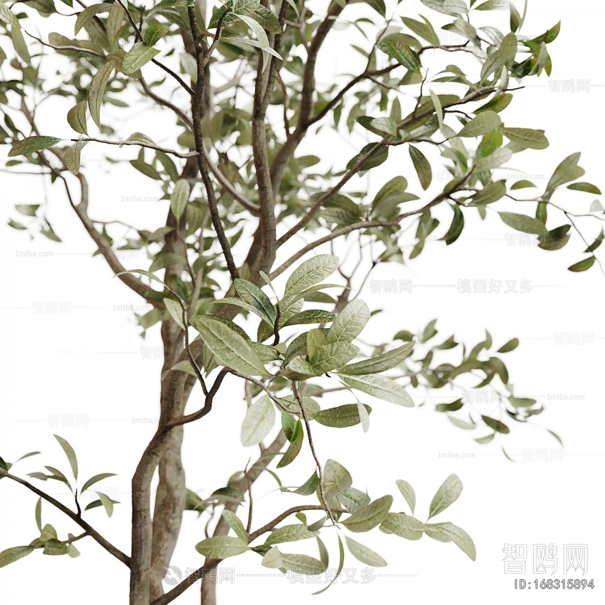 Modern Ground Green Plant Potted Plants