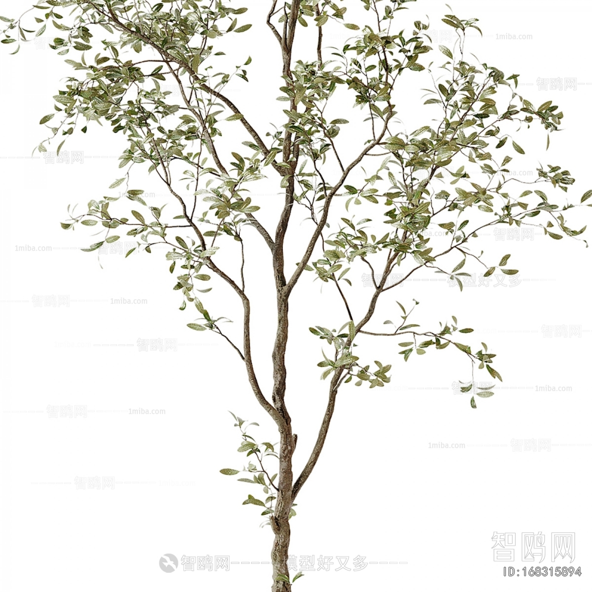 Modern Ground Green Plant Potted Plants