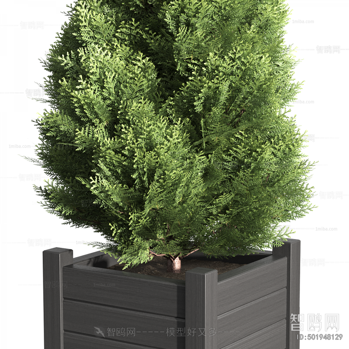 Modern Flower Bed, Flower Bowl, Flower Box