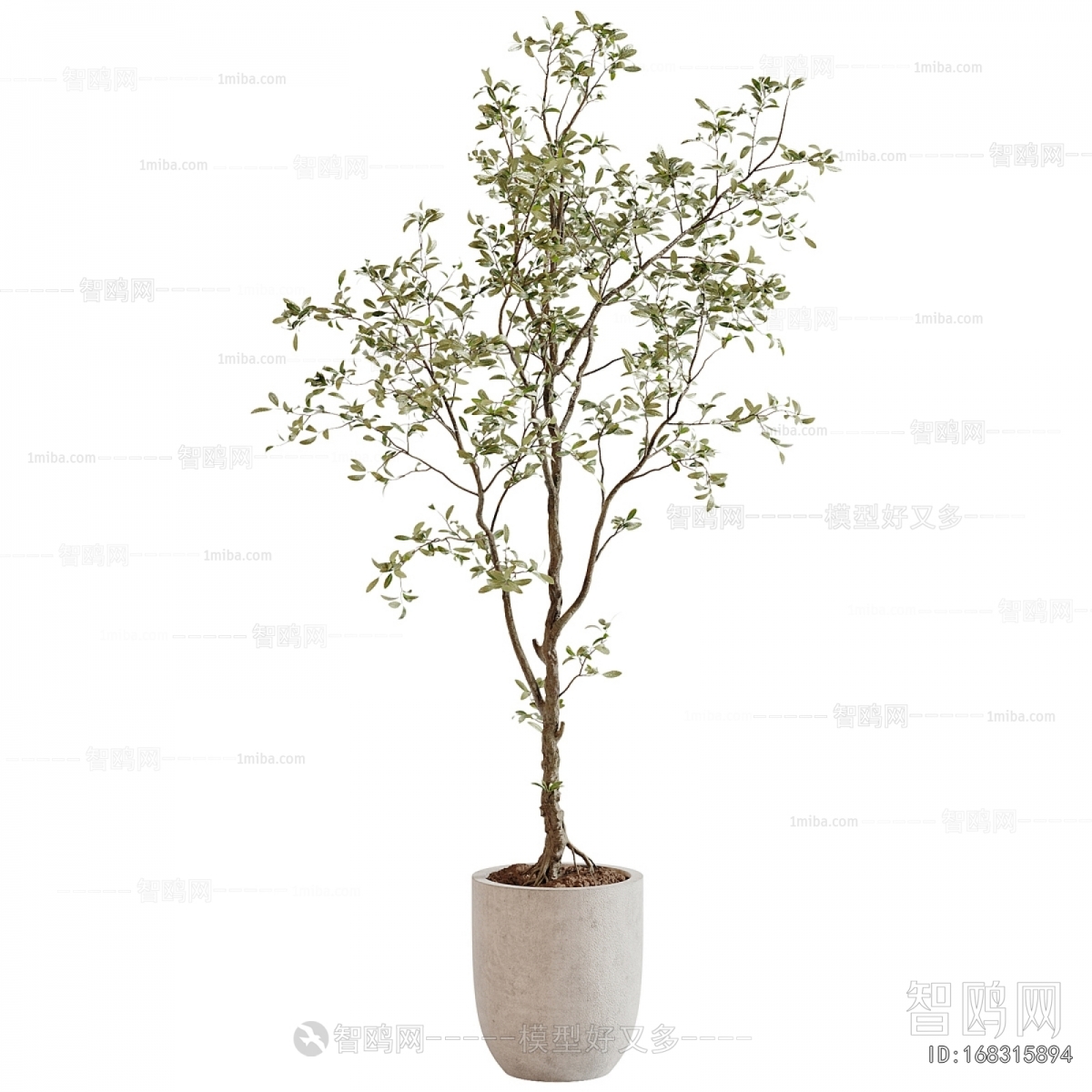 Modern Ground Green Plant Potted Plants