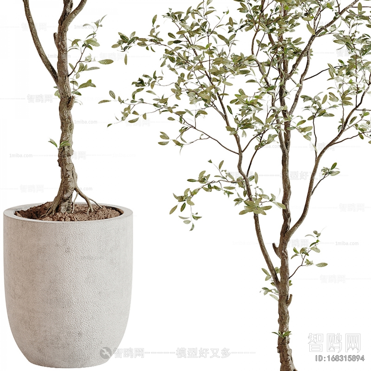 Modern Ground Green Plant Potted Plants