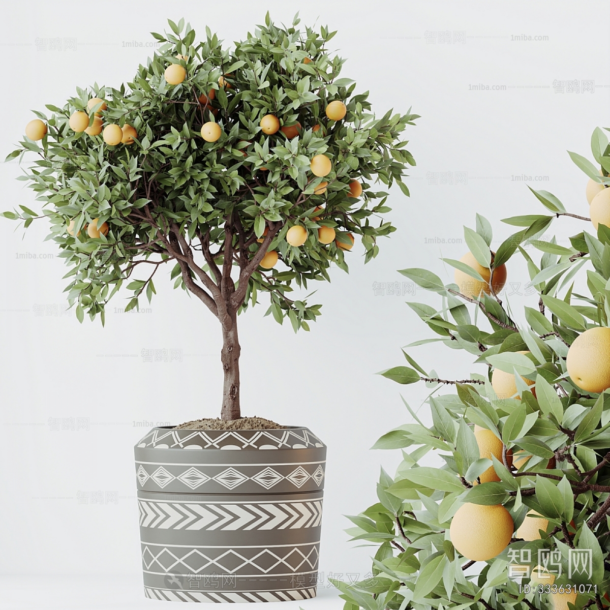 Modern Ground Green Plant Potted Plants