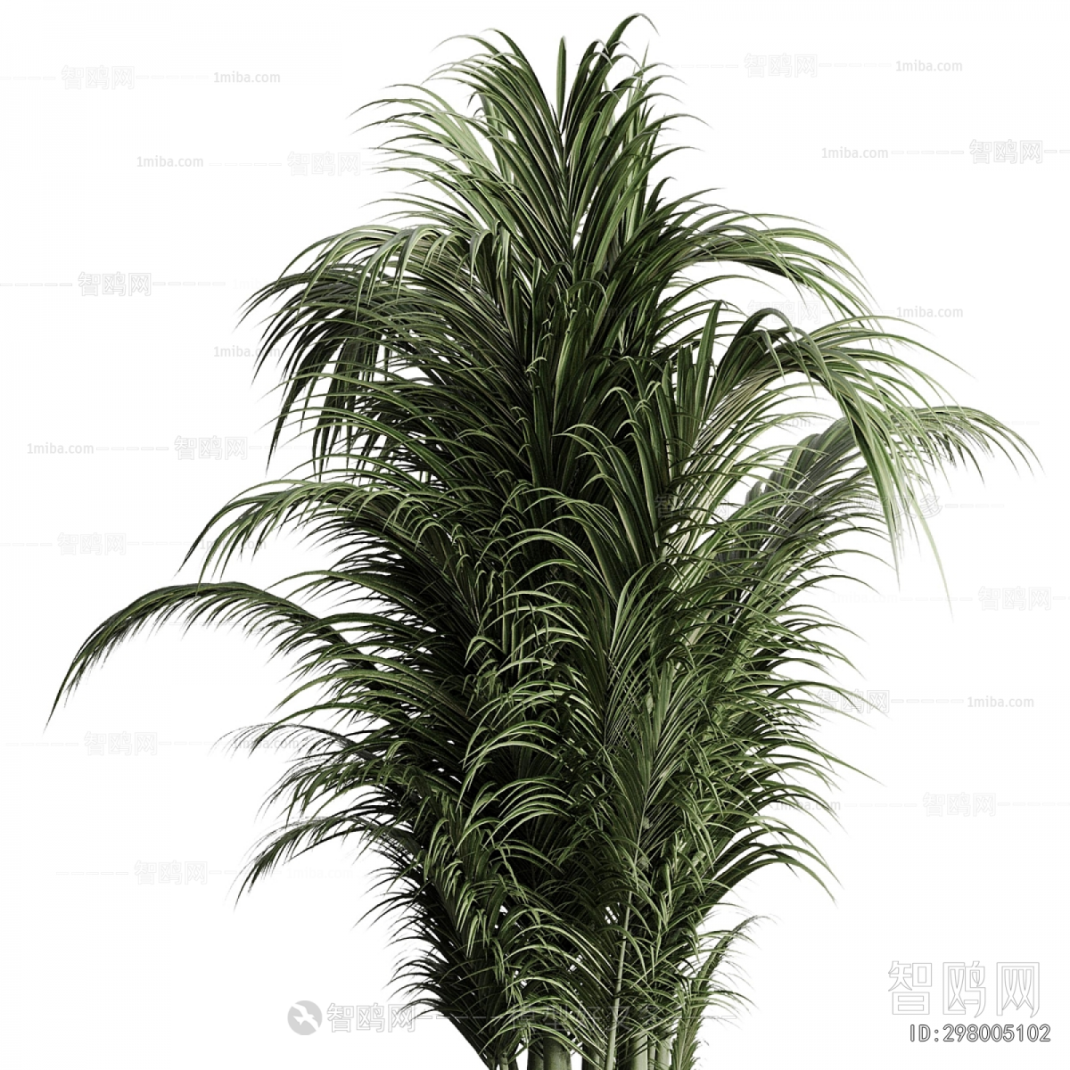 Modern Ground Green Plant Potted Plants