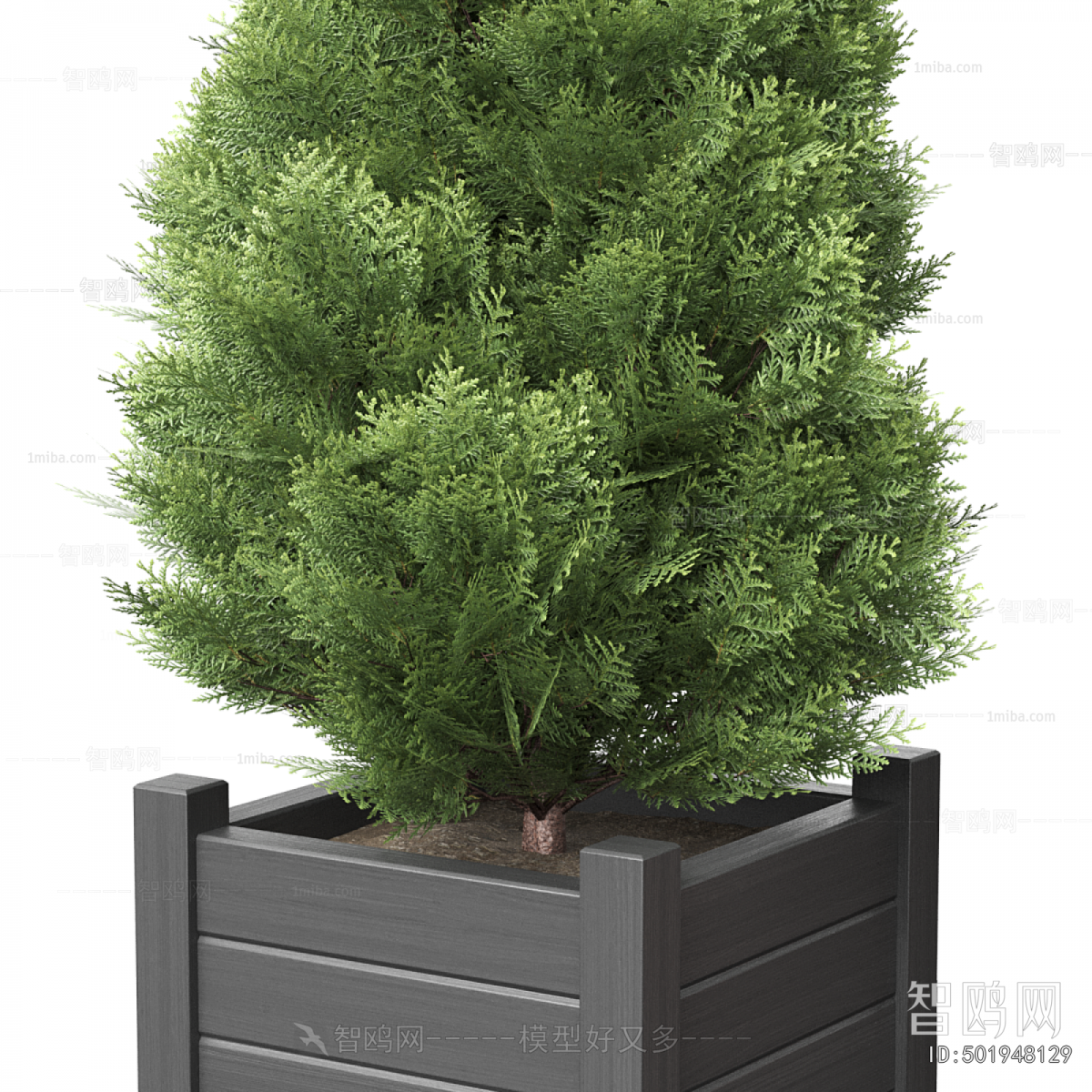 Modern Flower Bed, Flower Bowl, Flower Box