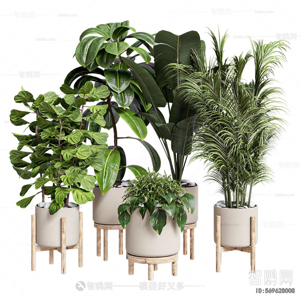 Modern Potted Green Plant