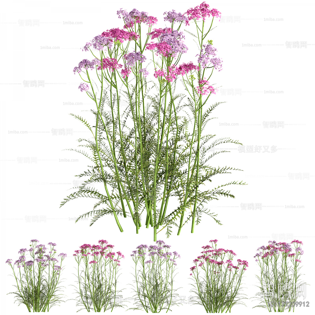 Modern Flowers And Grass