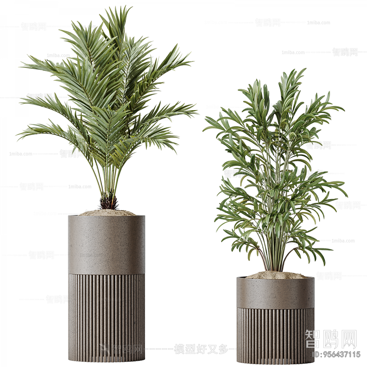 Modern Ground Green Plant Potted Plants