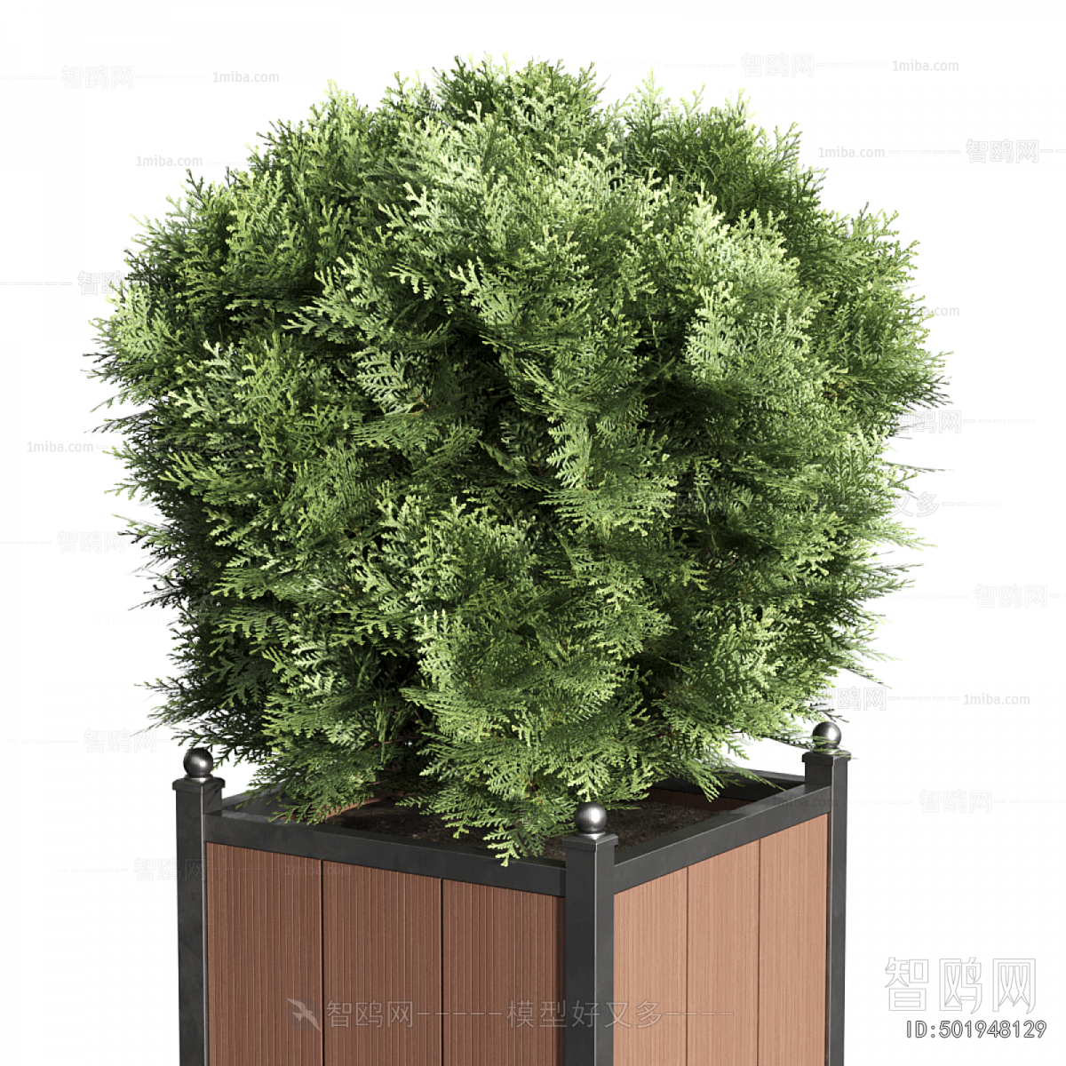 Modern Flower Bed, Flower Bowl, Flower Box