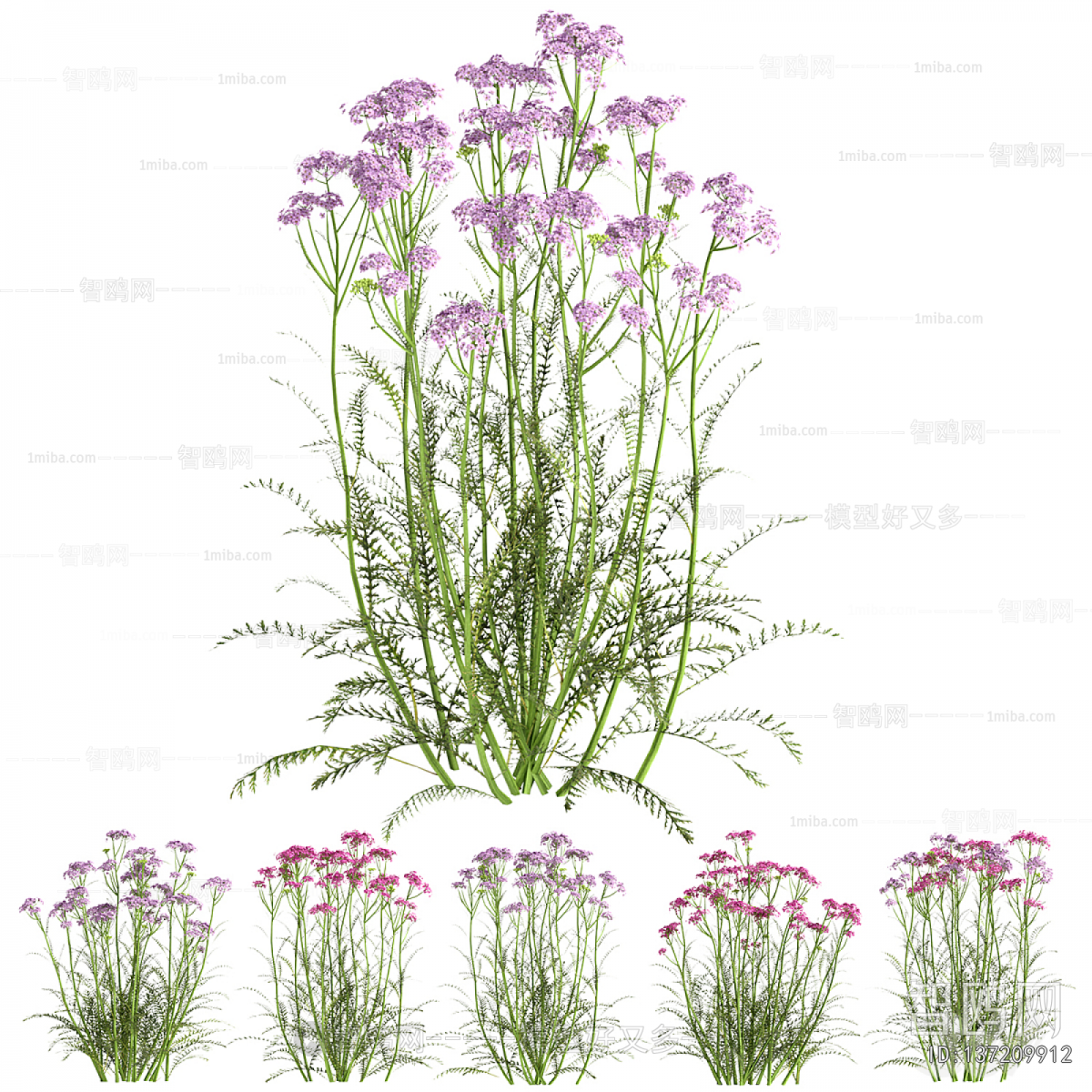 Modern Flowers And Grass