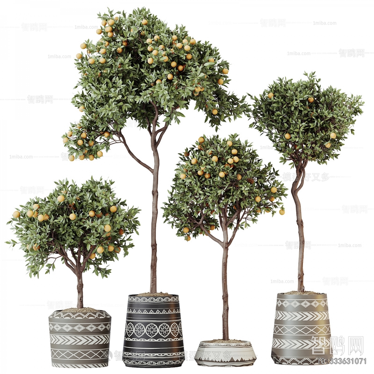 Modern Ground Green Plant Potted Plants