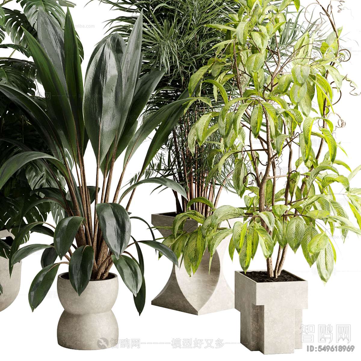Modern Ground Green Plant Potted Plants