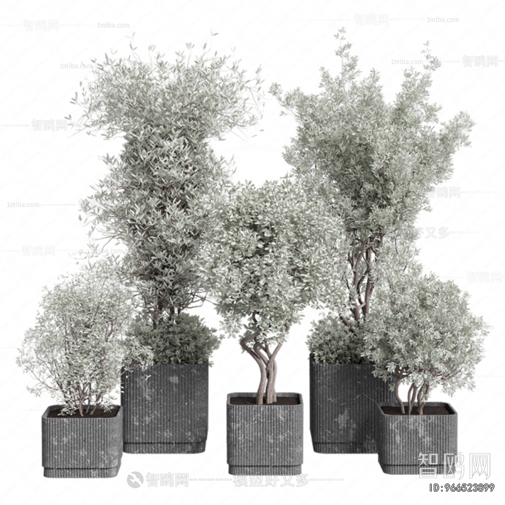 Modern Ground Green Plant Potted Plants