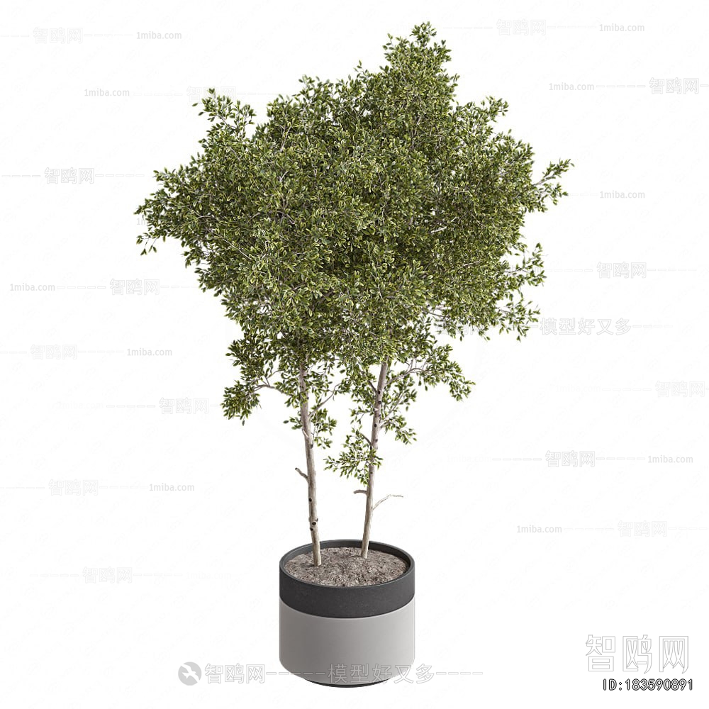 Modern Ground Green Plant Potted Plants