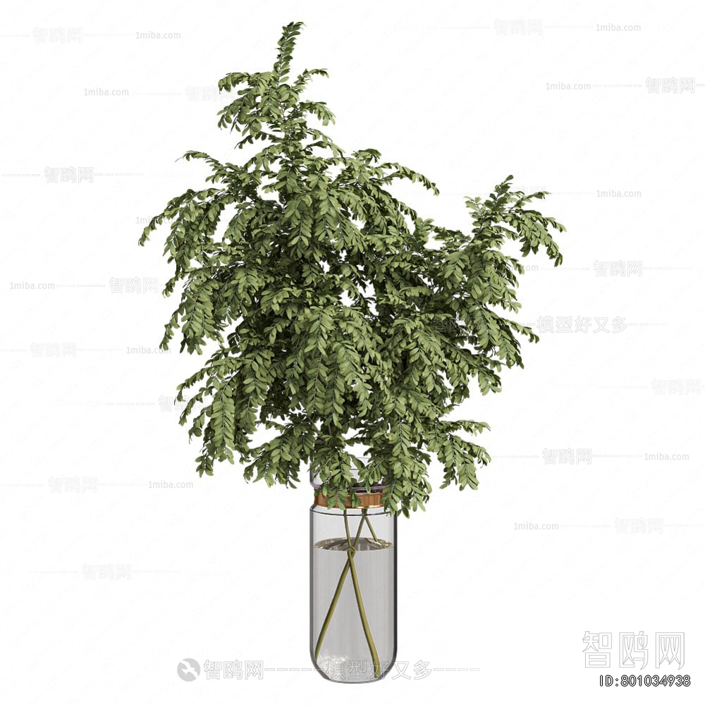 Modern Aquatic Green Plant