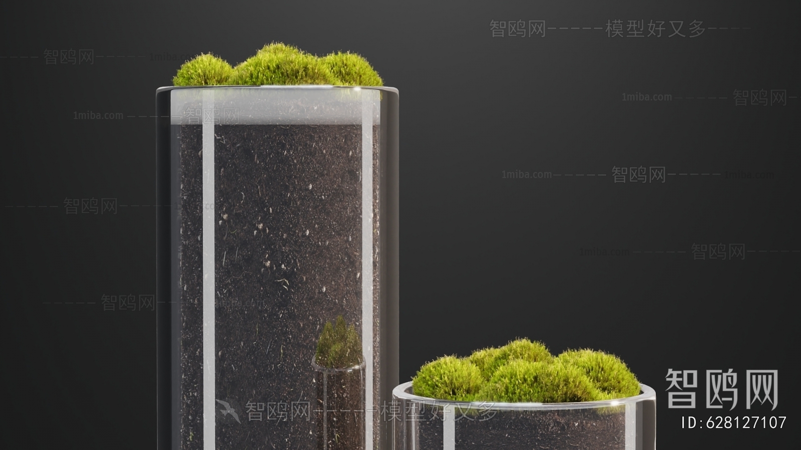 Modern Potted Green Plant