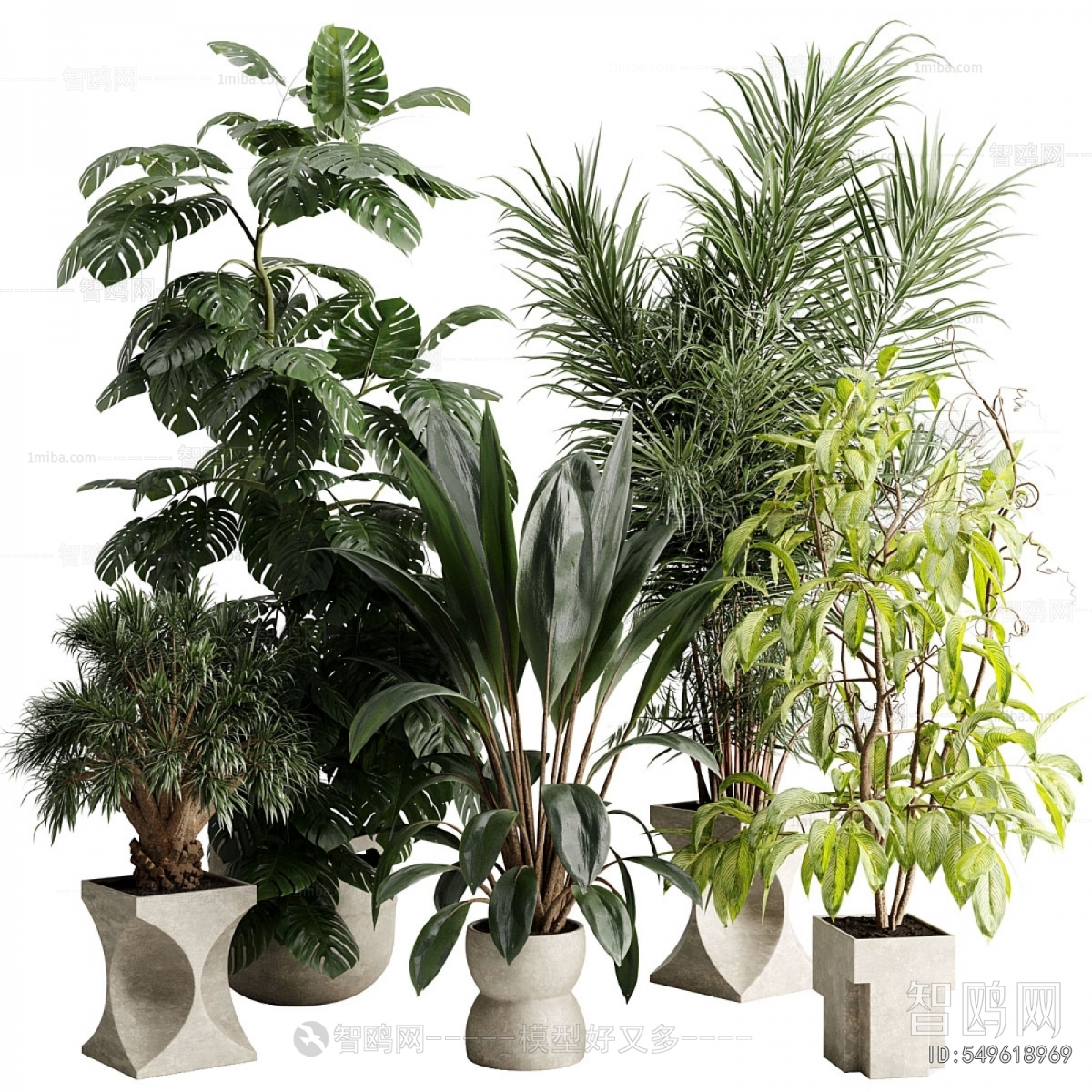 Modern Ground Green Plant Potted Plants