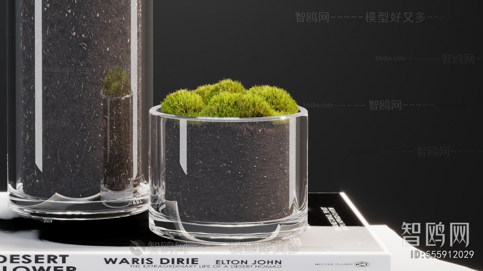 Modern Potted Green Plant