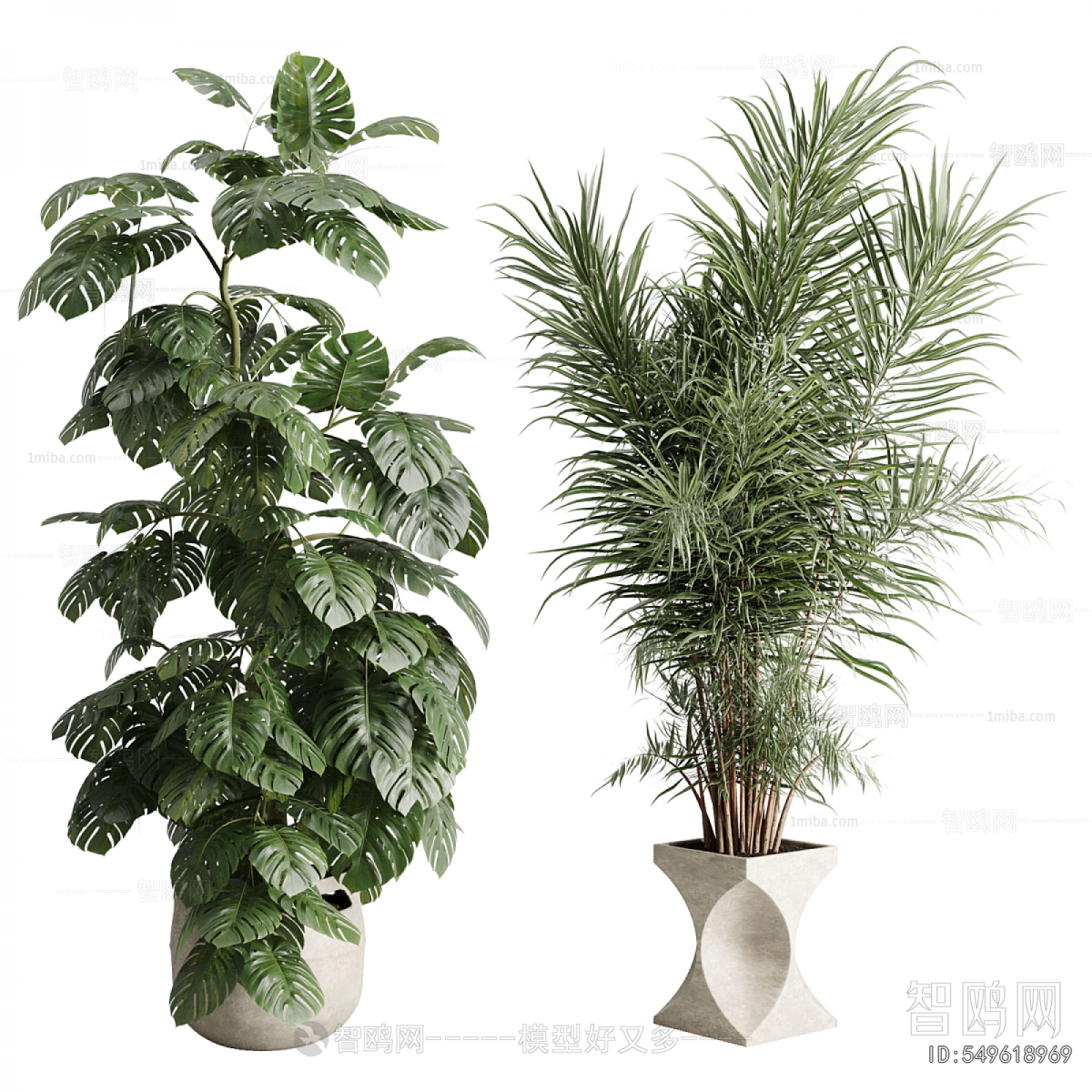 Modern Ground Green Plant Potted Plants