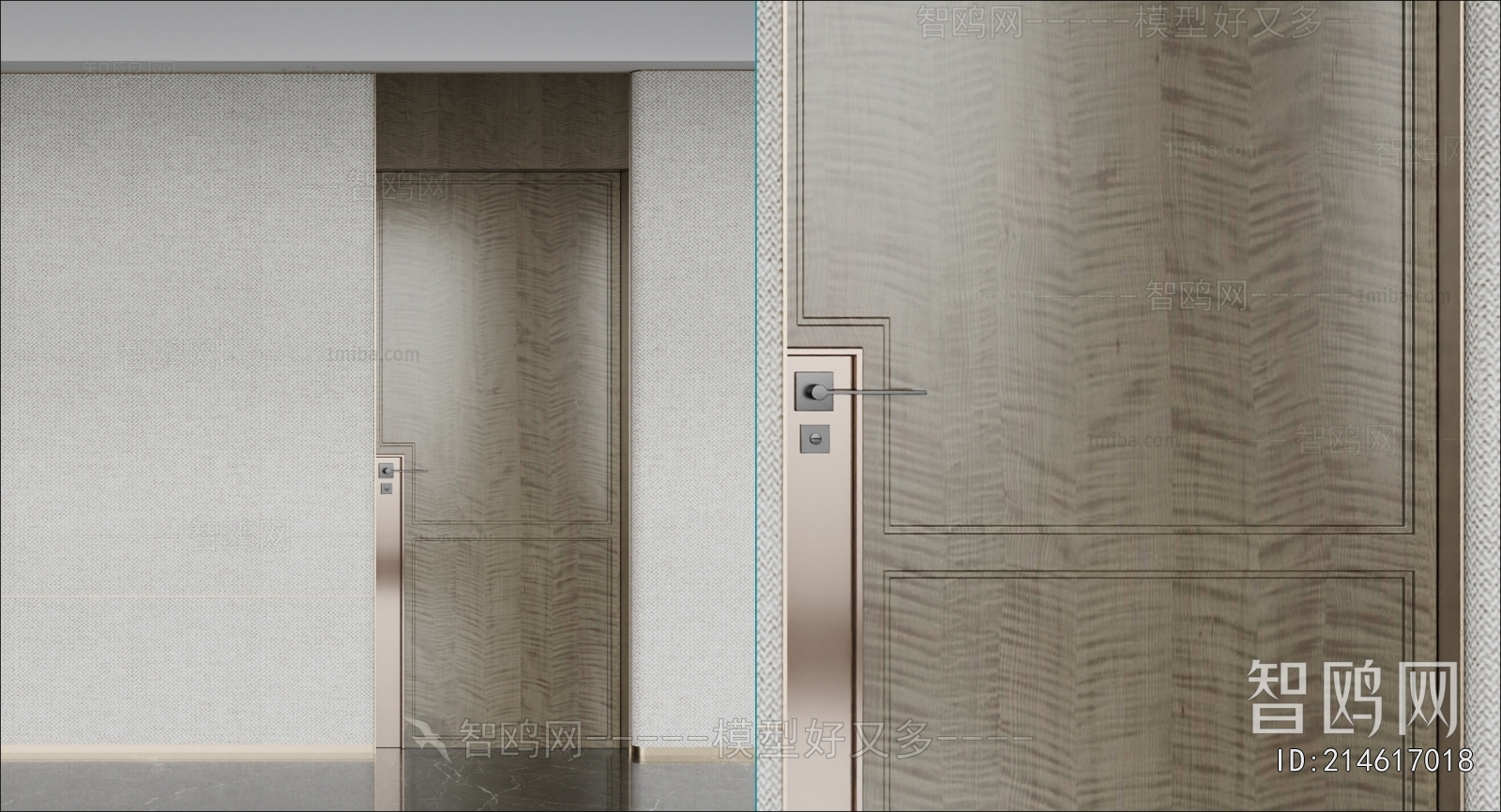 Modern Entrance Door