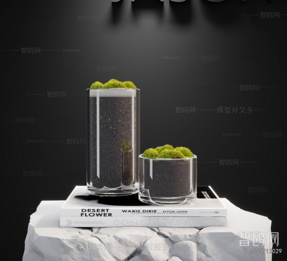 Modern Potted Green Plant