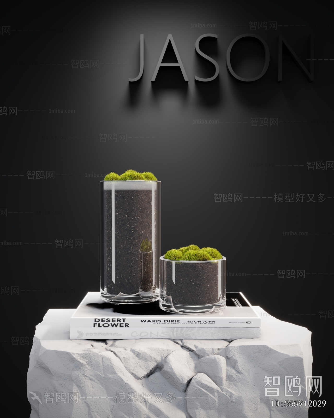 Modern Potted Green Plant