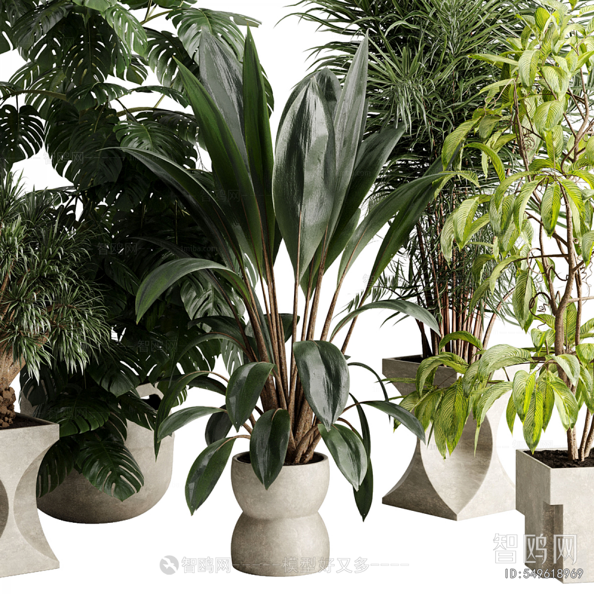 Modern Ground Green Plant Potted Plants