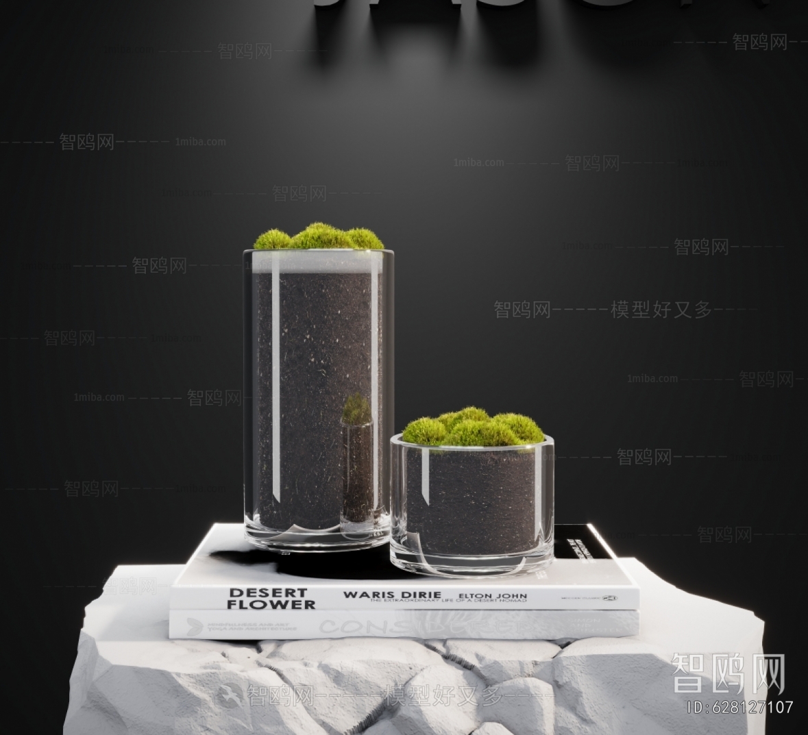 Modern Potted Green Plant