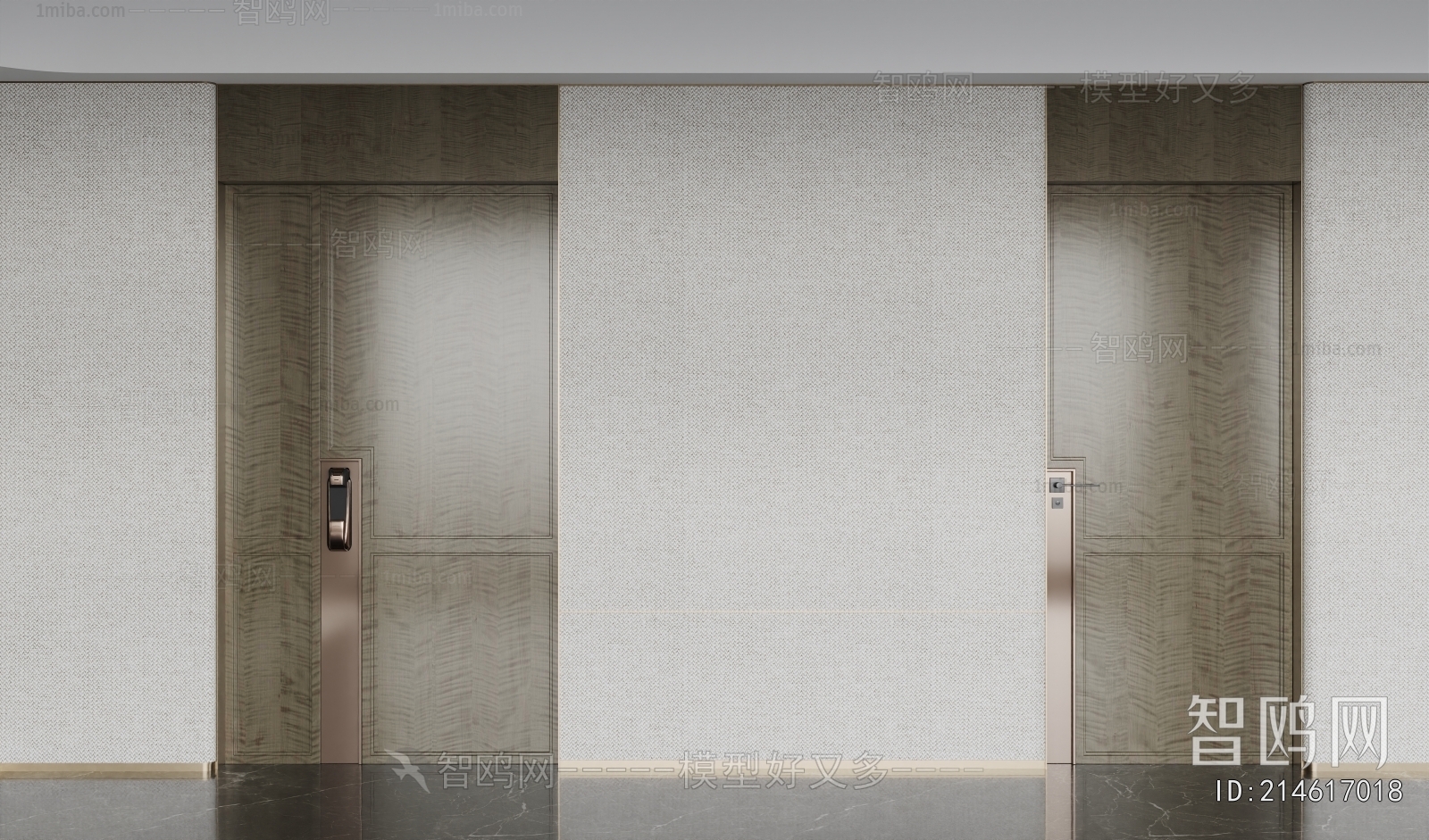 Modern Entrance Door