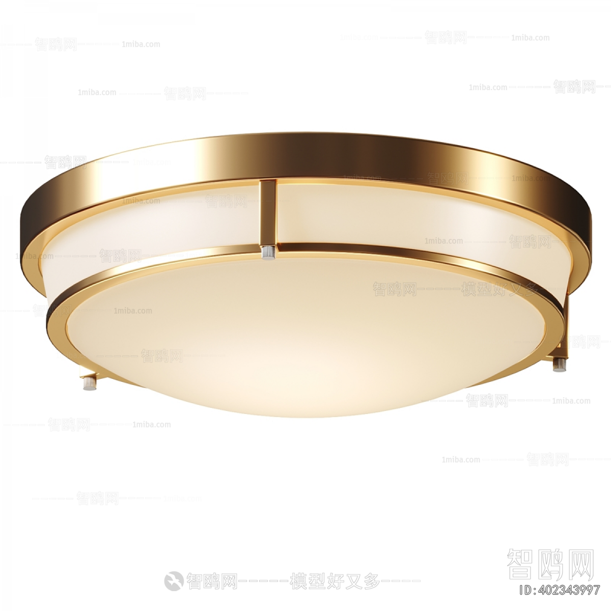 Modern Ceiling Ceiling Lamp