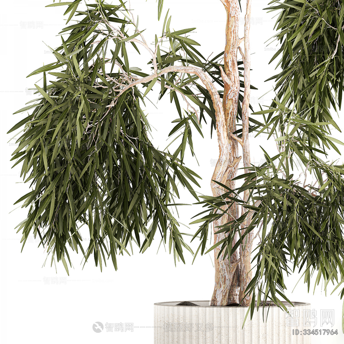 Modern Ground Green Plant Potted Plants