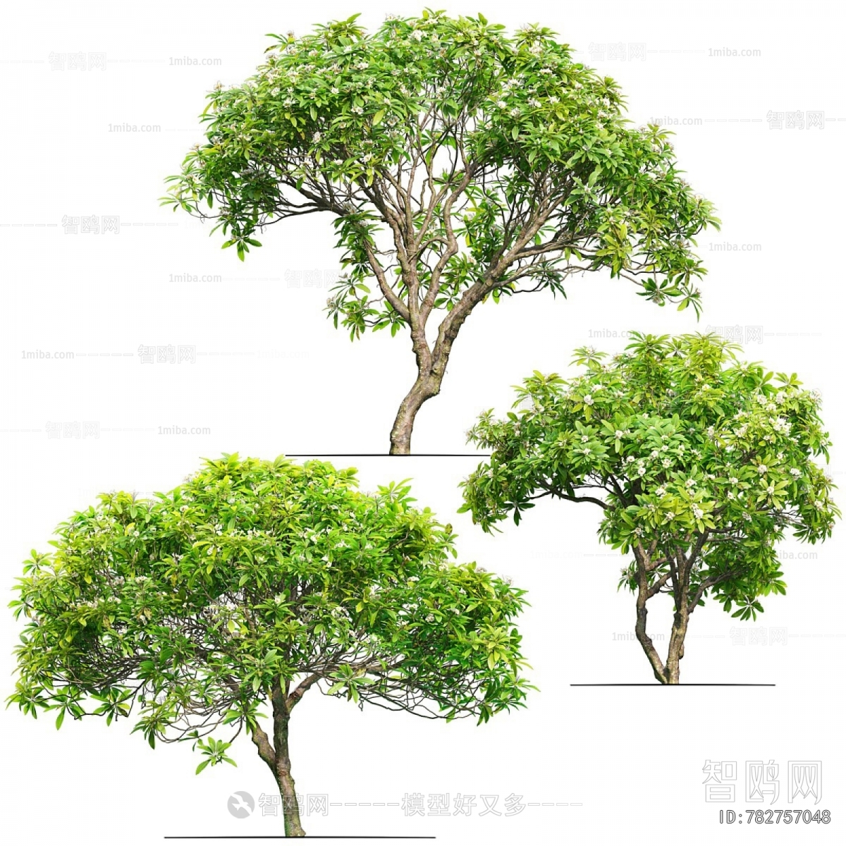 Modern Tree