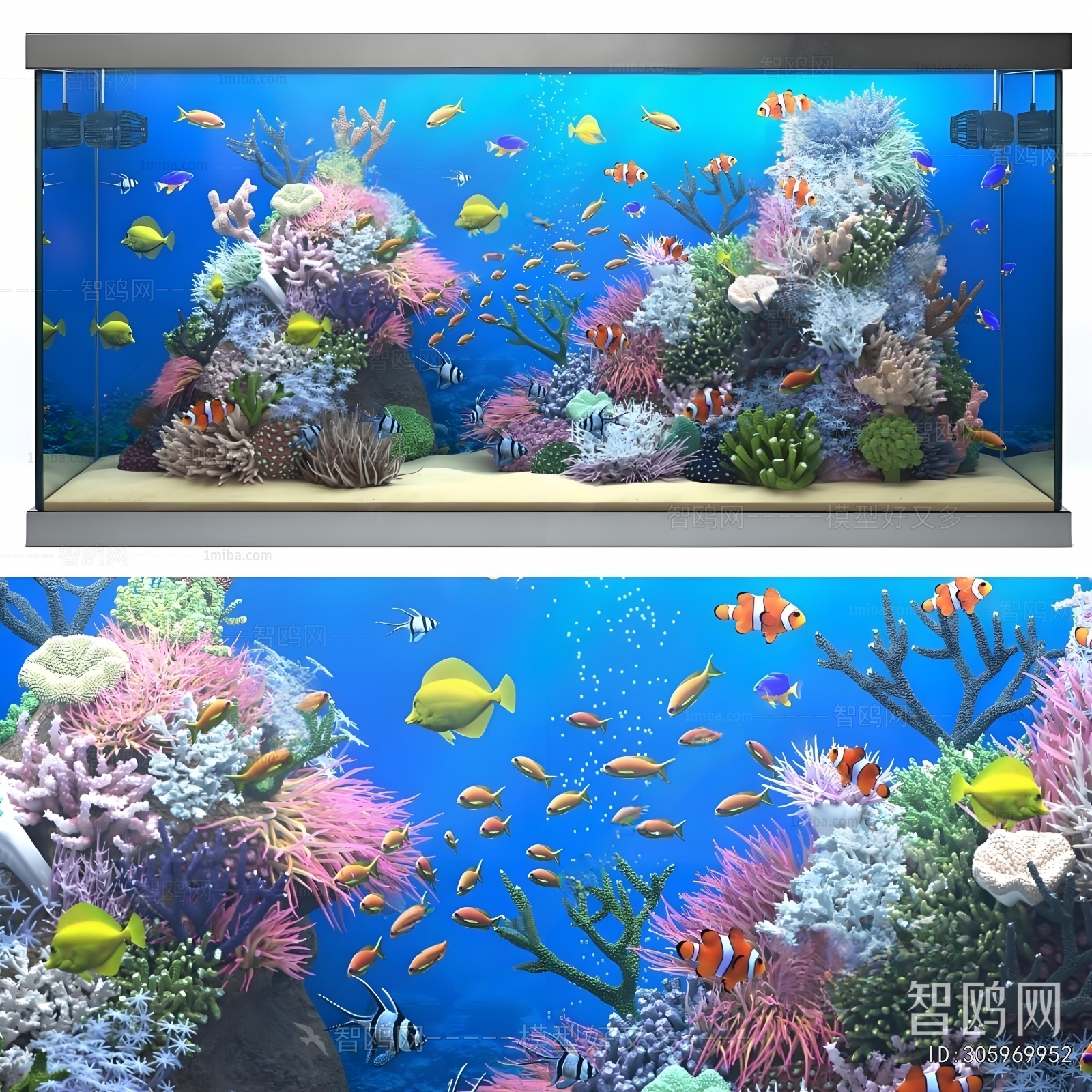 Modern Fish Tank