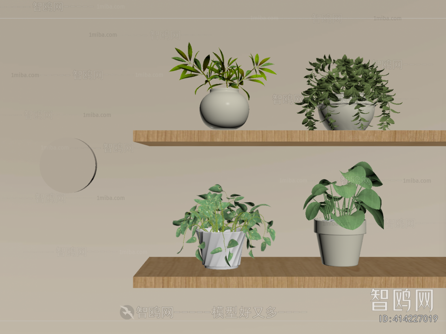 Modern Potted Green Plant