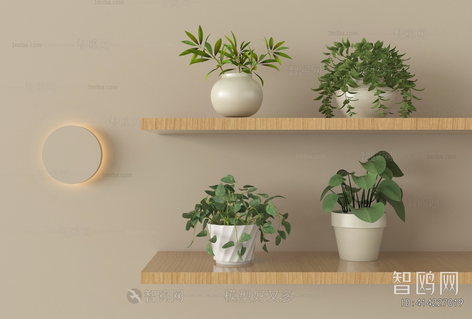 Modern Potted Green Plant