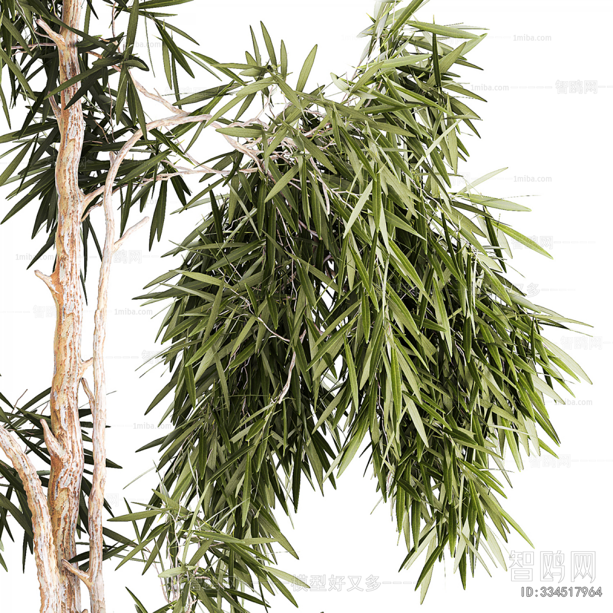 Modern Ground Green Plant Potted Plants