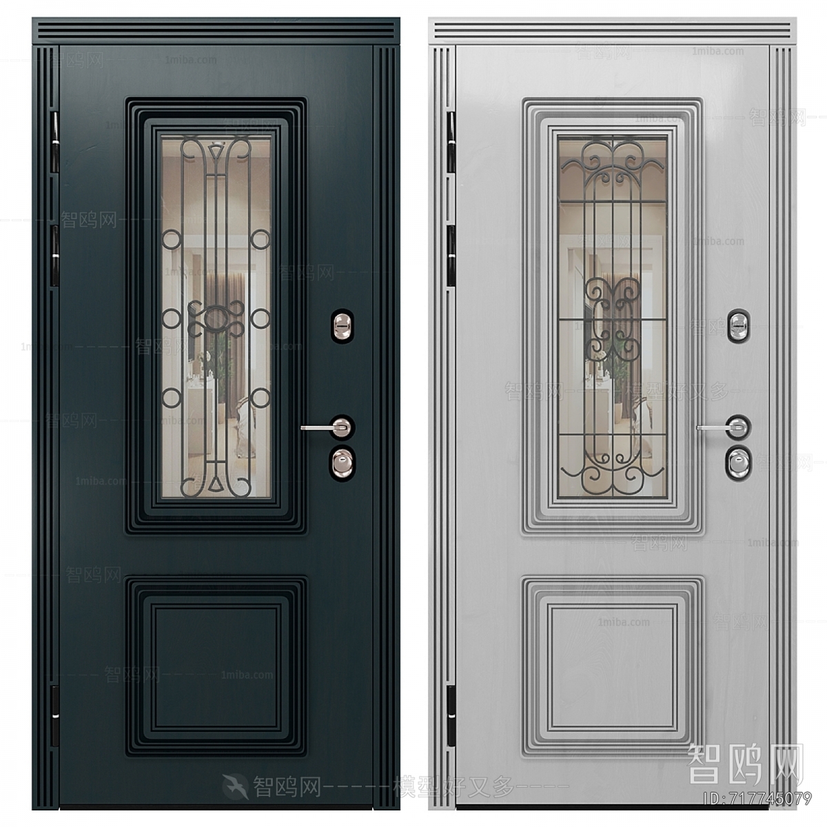 Modern Entrance Door