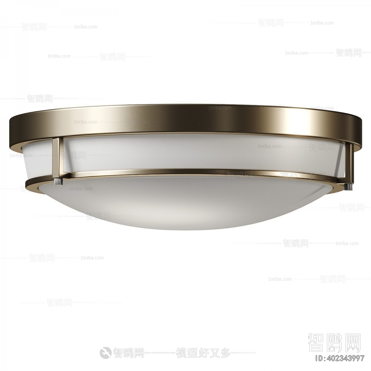Modern Ceiling Ceiling Lamp