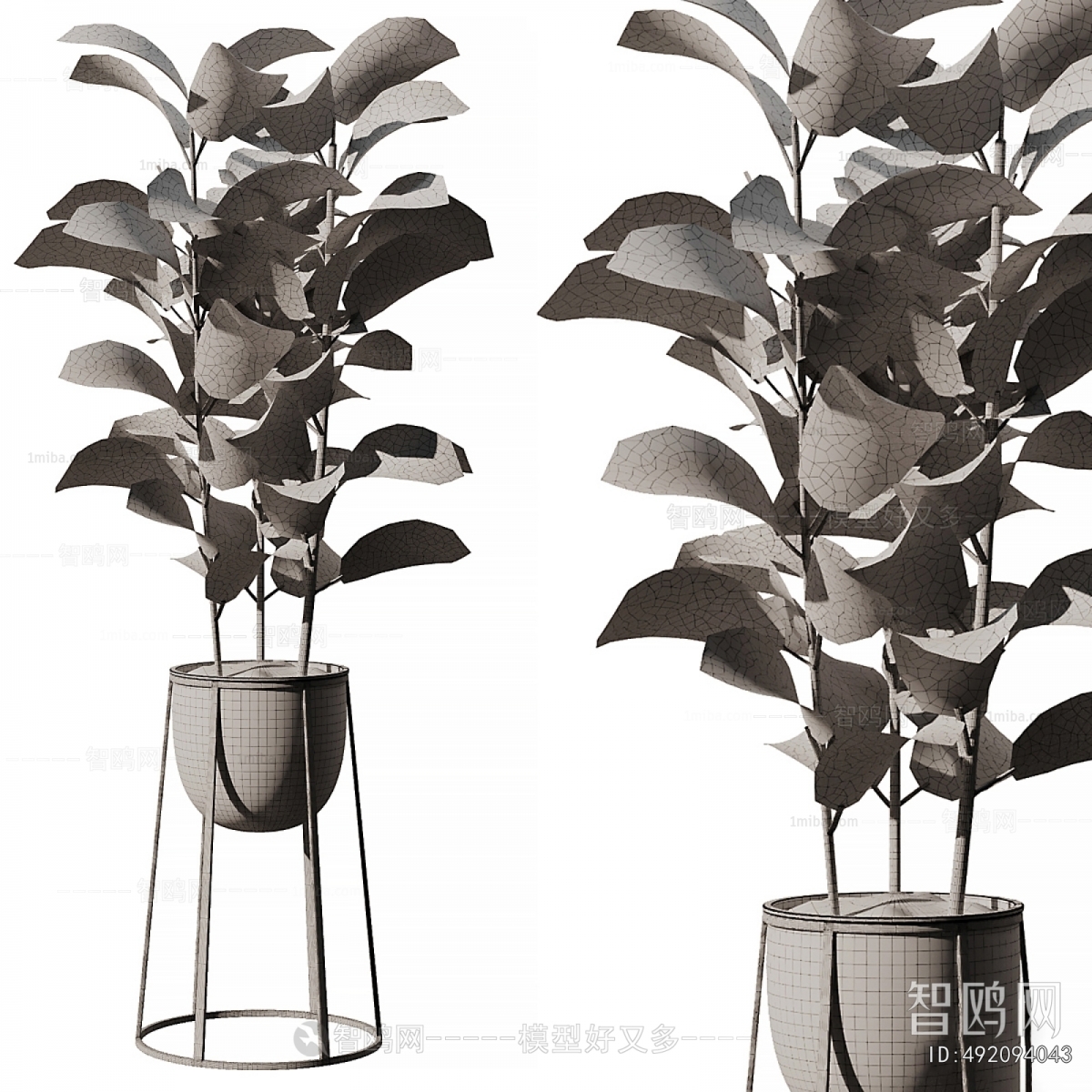 Modern Ground Green Plant Potted Plants