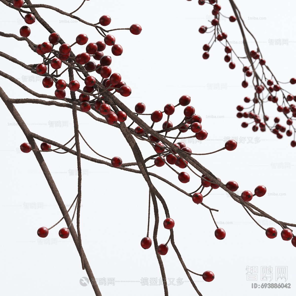 Wabi-sabi Style Dried Branch