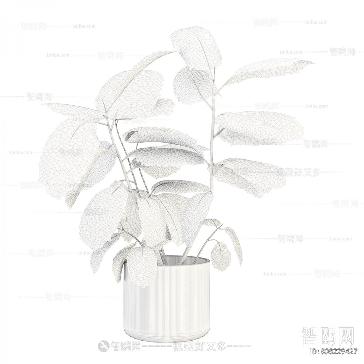 Modern Potted Green Plant