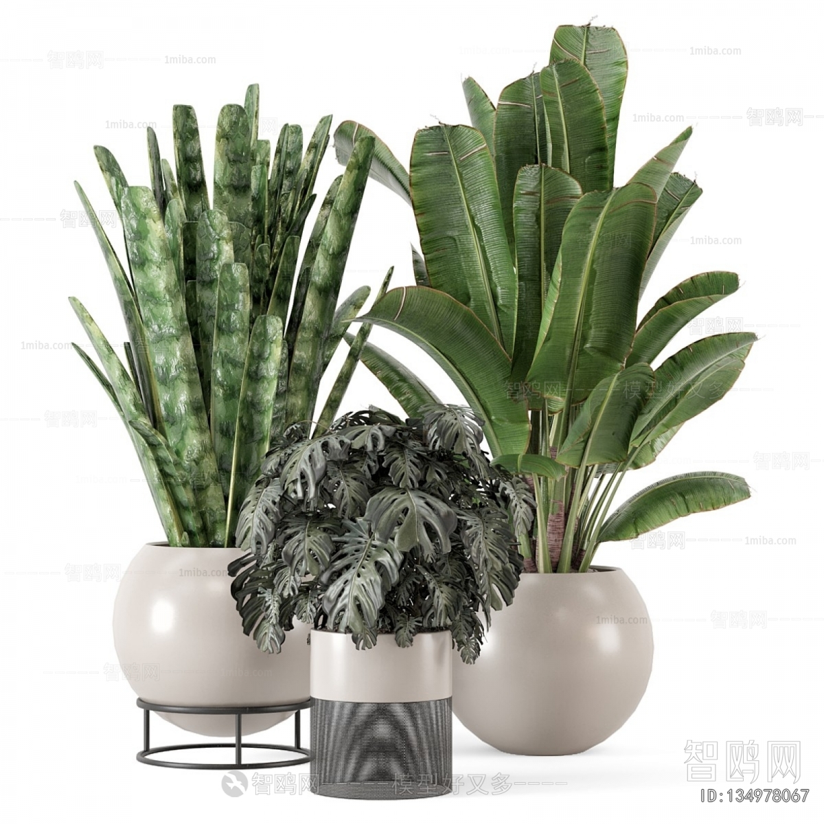 Modern Ground Green Plant Potted Plants