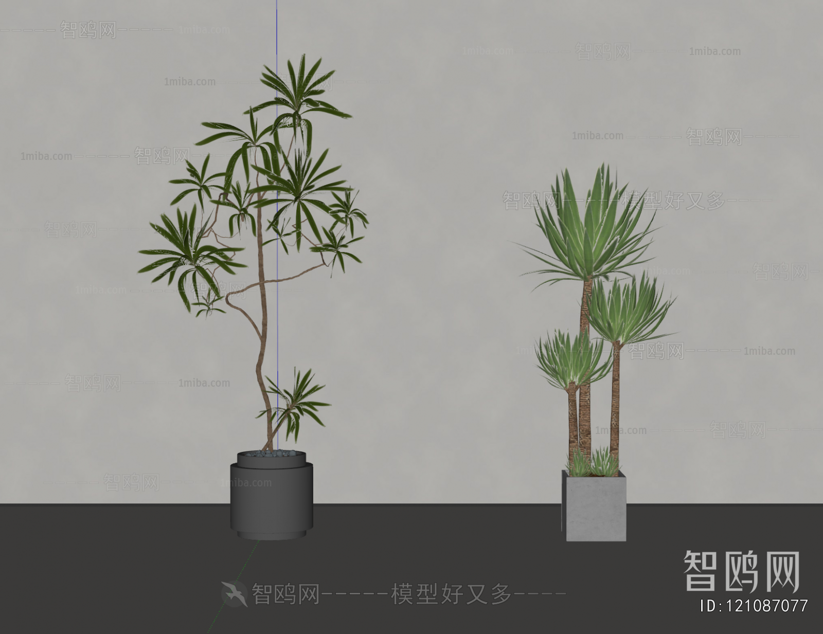 Modern Ground Green Plant Potted Plants
