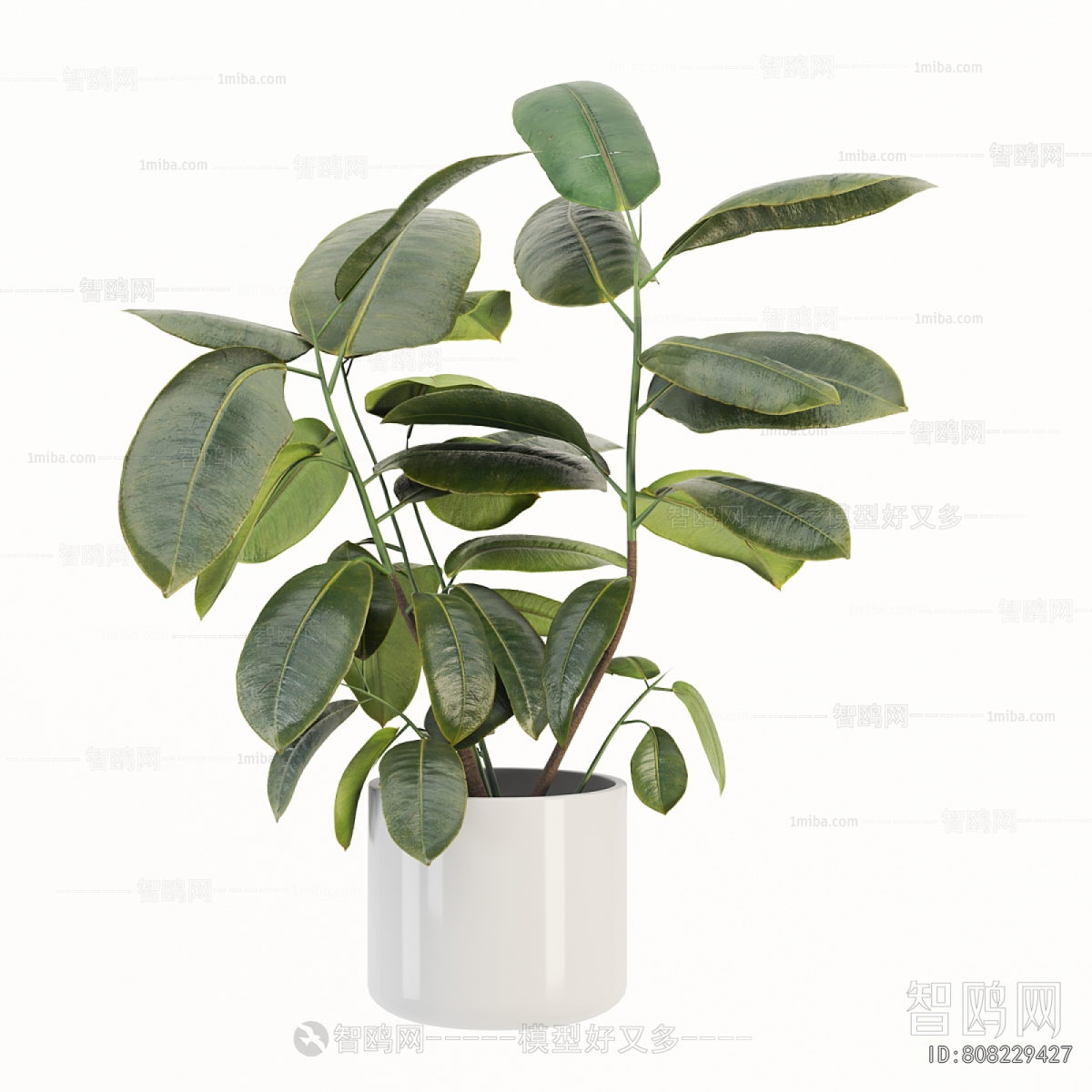 Modern Potted Green Plant