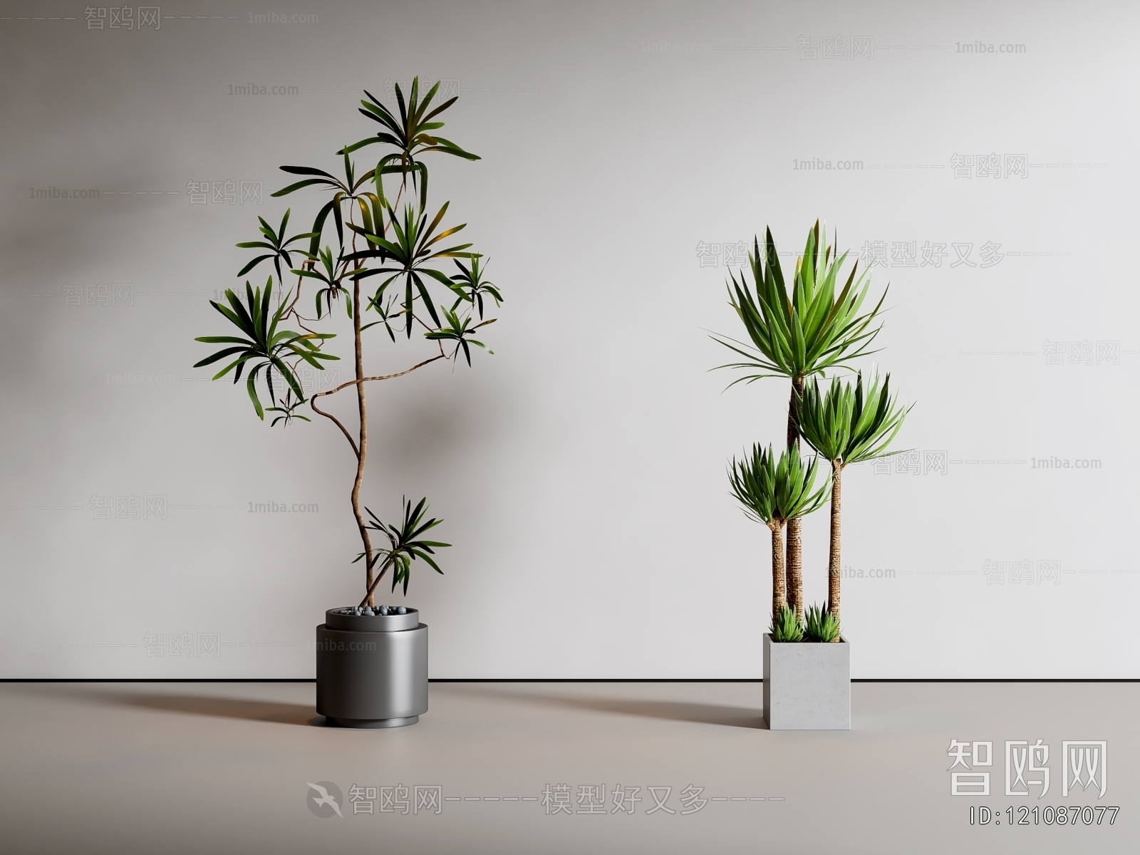 Modern Ground Green Plant Potted Plants