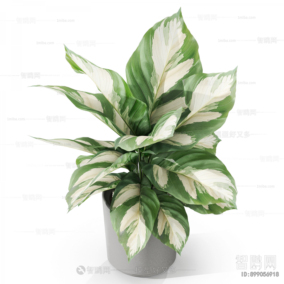 Modern Desktop Plant