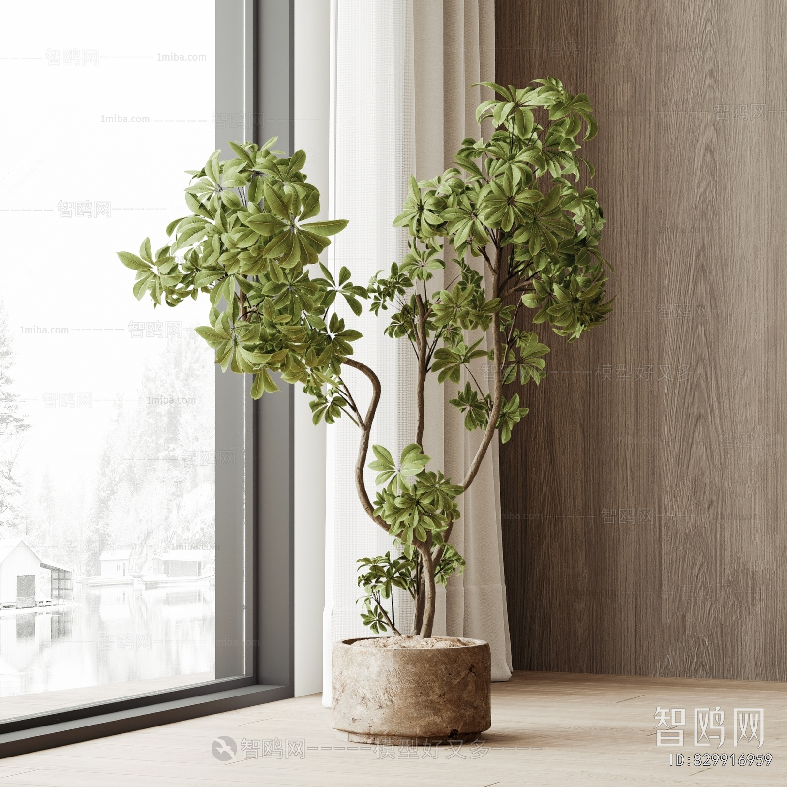 Modern Ground Green Plant Potted Plants